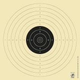 Luftpistolenscheiben 17 x 17 cm mit lfd. Nr.